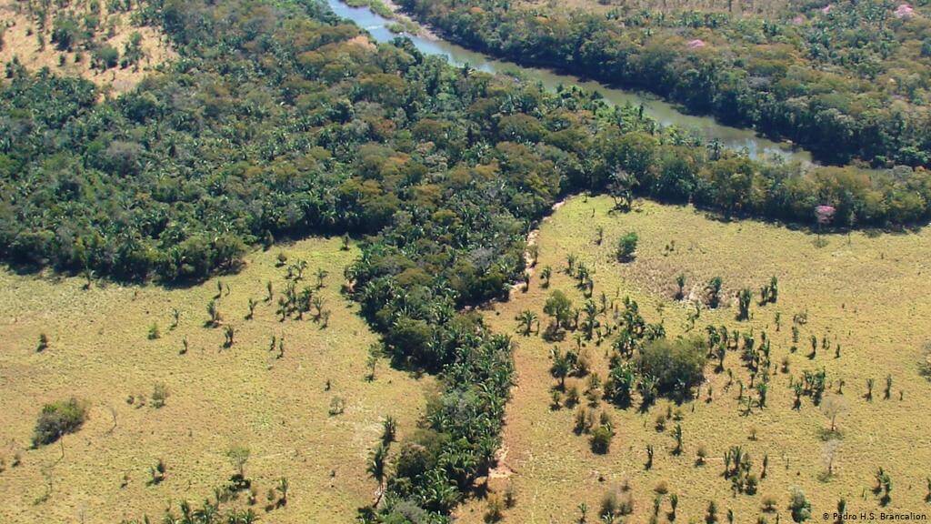 Image of a large wildlife corridor stretching over a vast distance